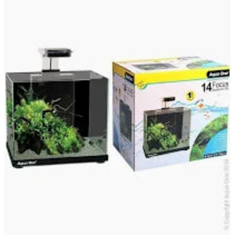 Aqua One Focus 14 Glass Aquarium 14L 30L X 22D X 27cm H