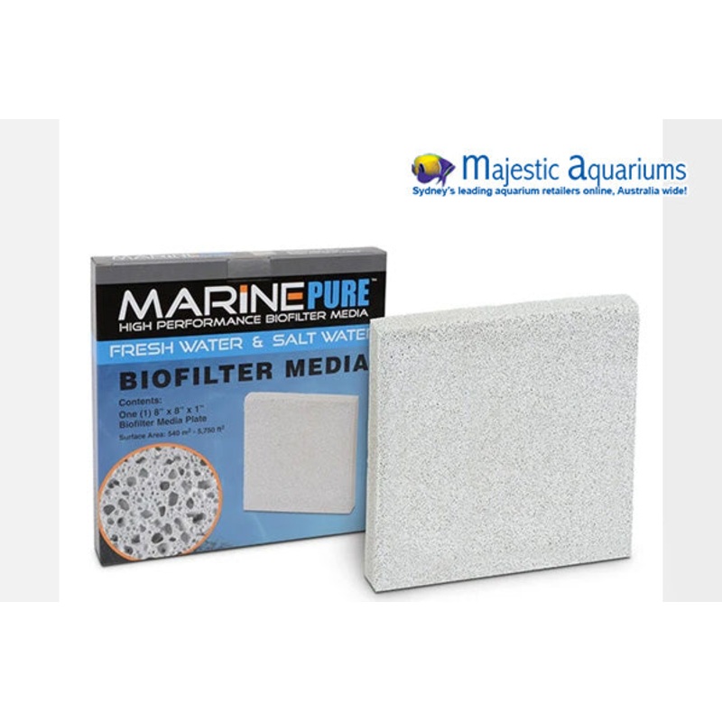 Marine Pure 8x8x1 Plate