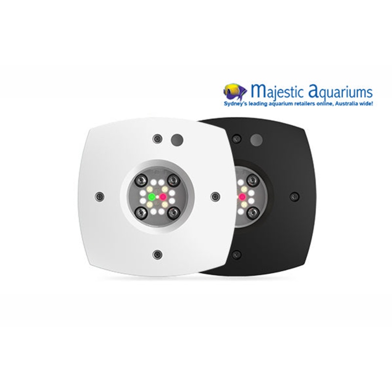 AI Prime 16 HD Black - Reef