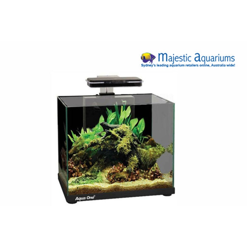 Aqua One Focus 25 Glass Aquarium 25L 40L X 25D X 31cm H (black)