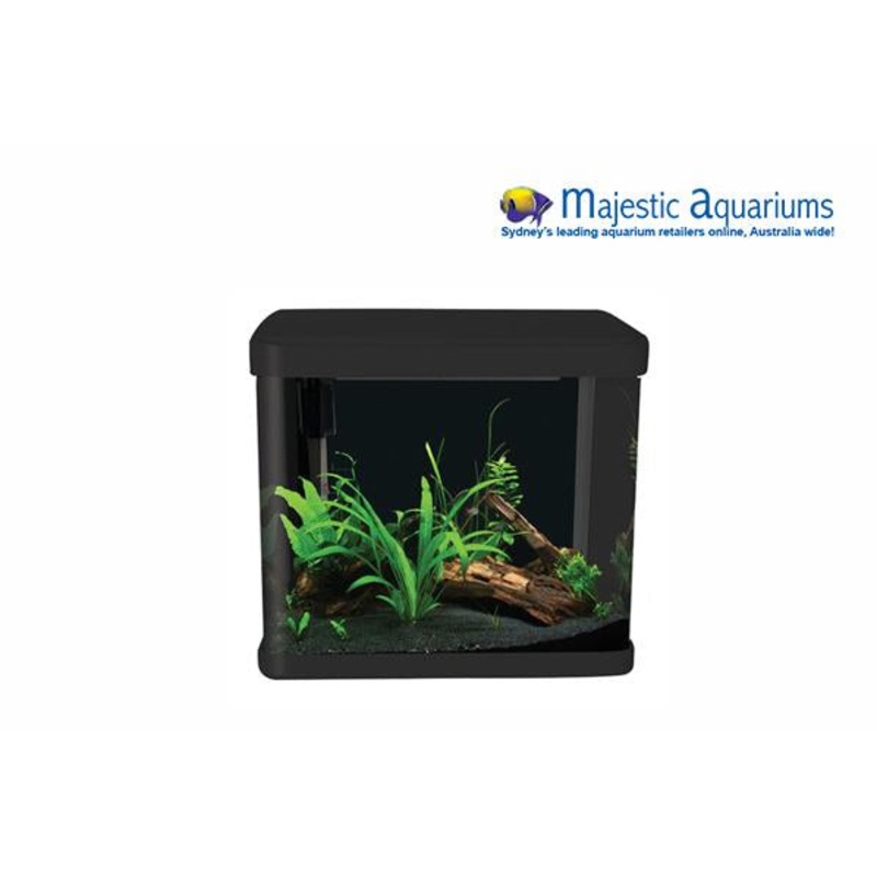 Aqua One LifeStyle 21 Complete Glass Aquarium 32cm 21L Gloss Black