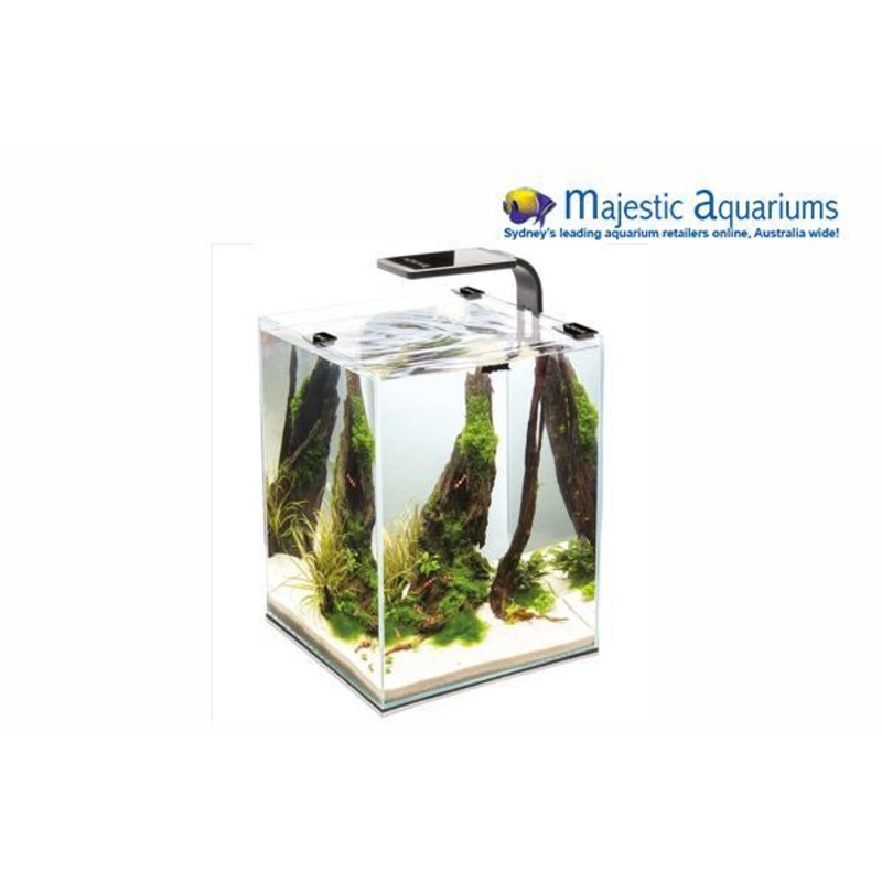 Aquael Shrimp Set Smart 20 Black Day and Night