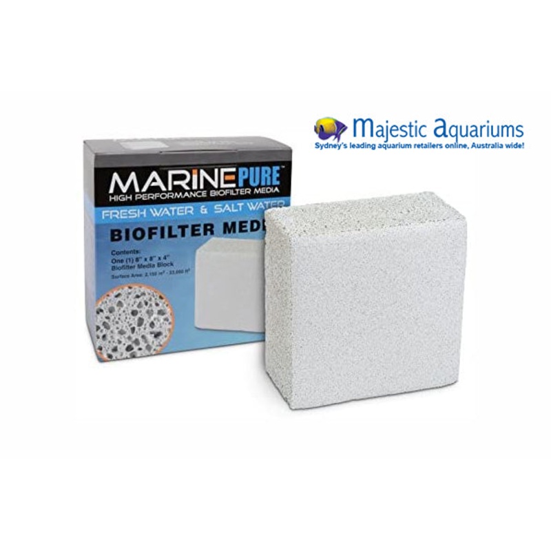Marine Pure 8x8x4 in Block