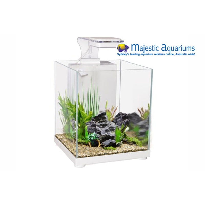 Sanctuary Aqua One Complete Betta Aquarium
