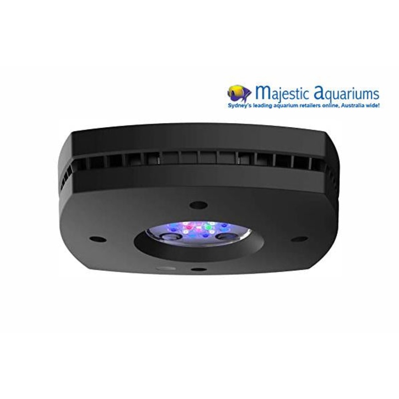 AI Prime Freshwater 16 HD Black