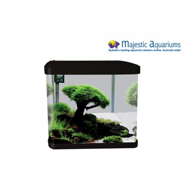 Aqua One LifeStyle 29 Complete Glass Aquarium 38cm 29L Gloss Black