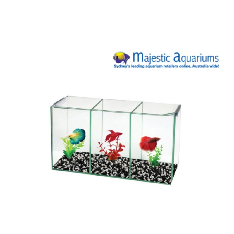 Betta Trio Cube Glass W Lid 36x12x20cm