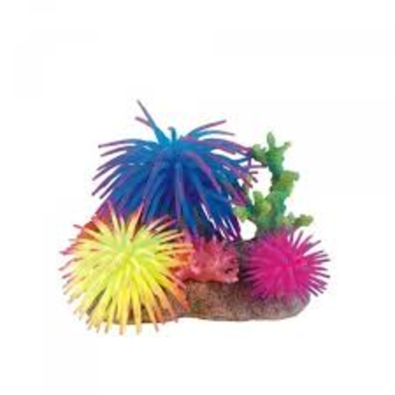 Bioscape Anemone Garden