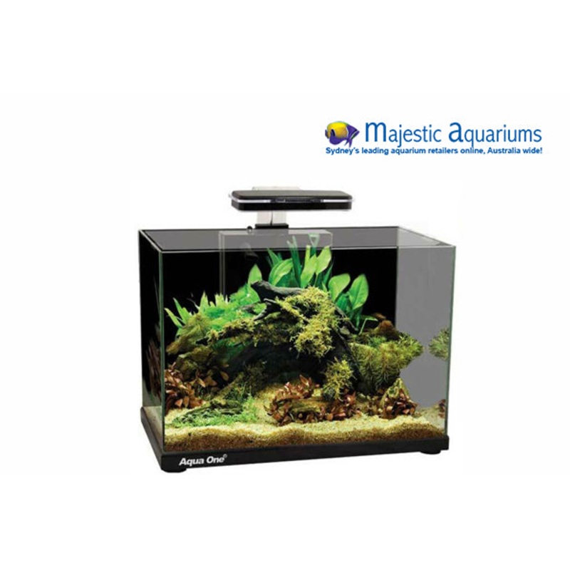 Aqua One Focus 36 Glass Aquarium 36L 50L X 25D X 34cm H (white)