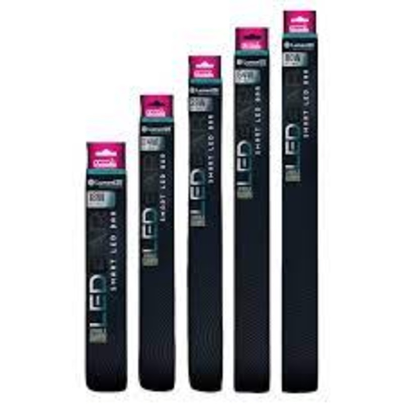 LumenIZE Jungle Dawn LED Bar