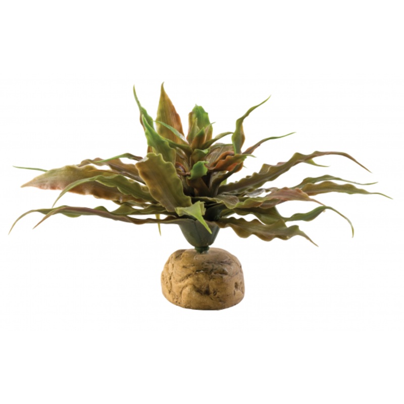Exo Terra Star Cactus 23cm wide