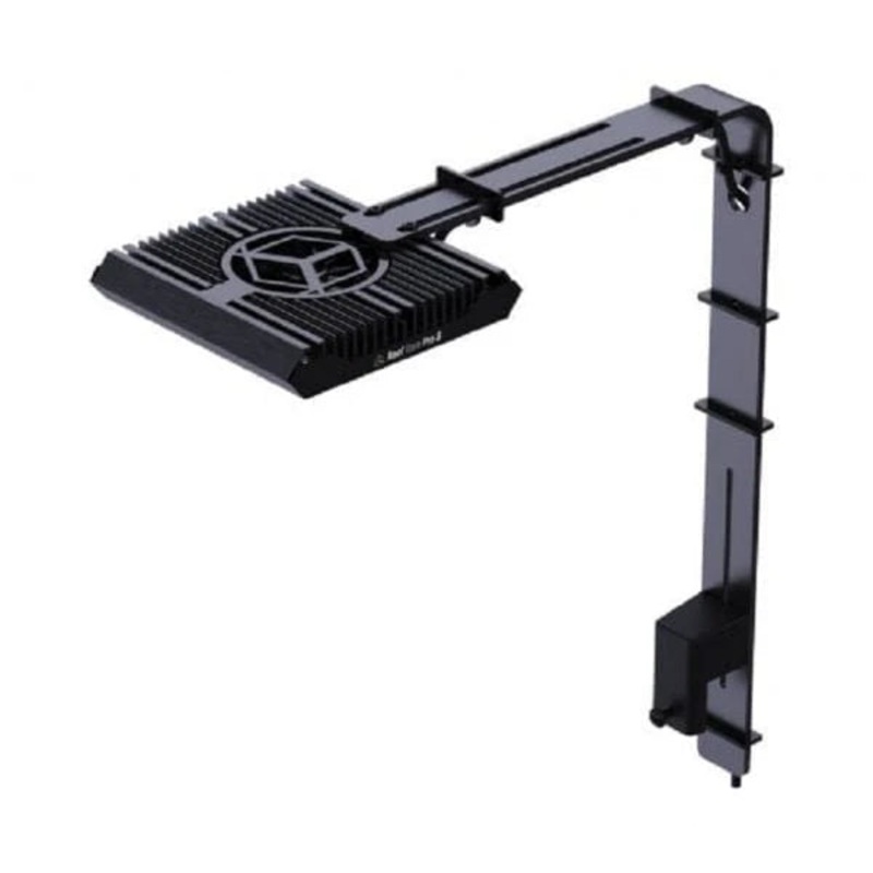 Reef Flare Arm XS/S