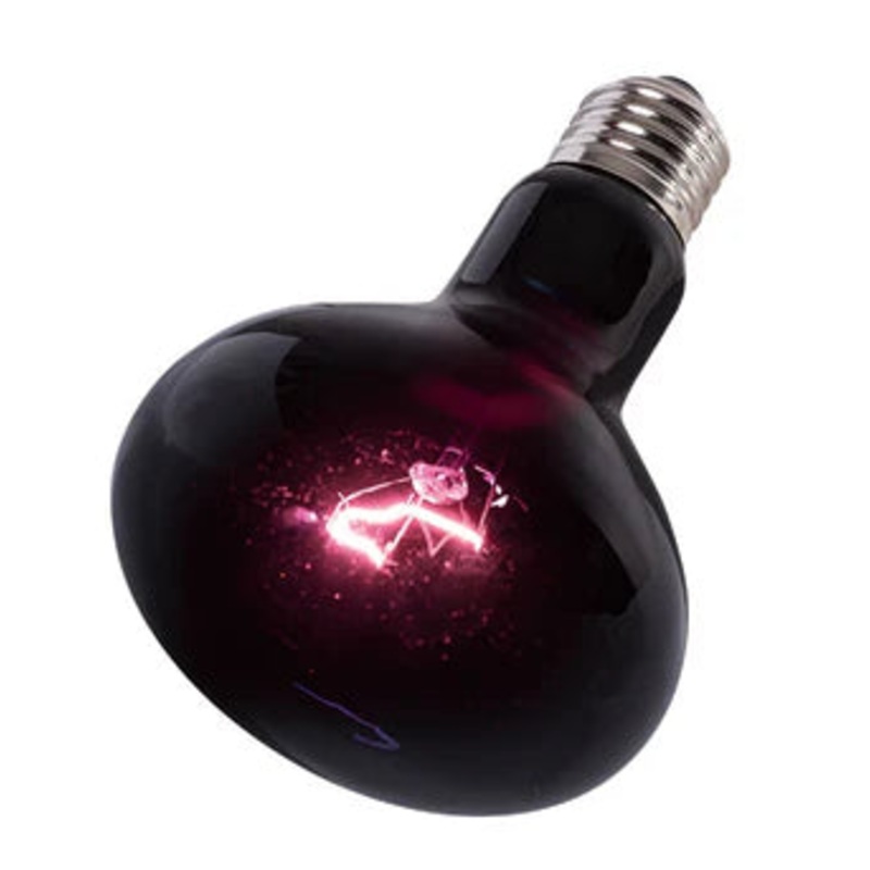 Repti-Zoo Moonlight Heat Spot Lamp Range