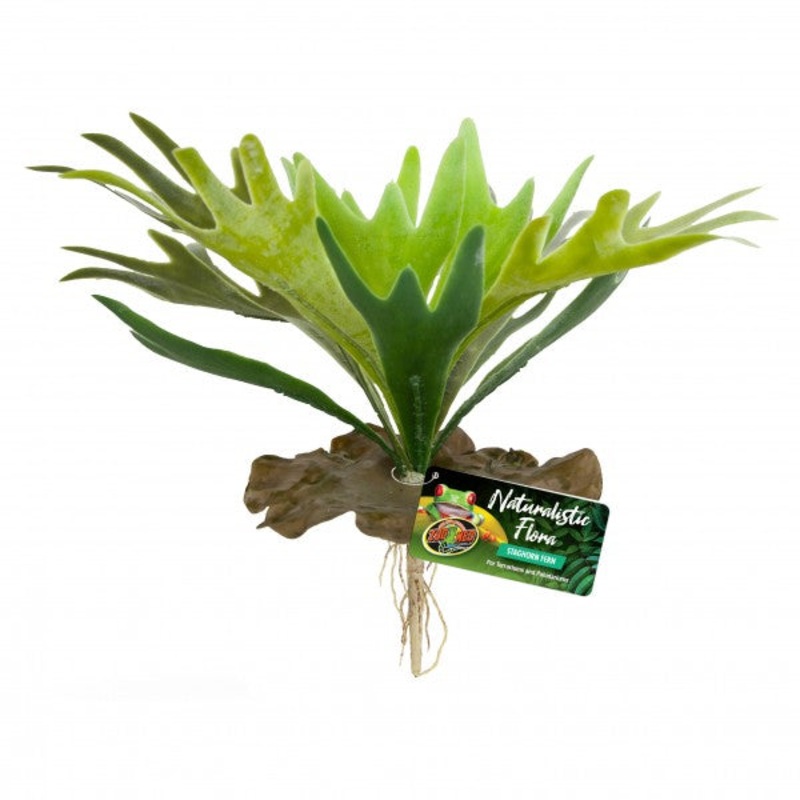 Zoo Med Staghorn Fern