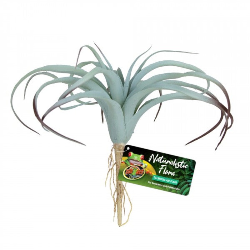 Zoo Med Tillandsia