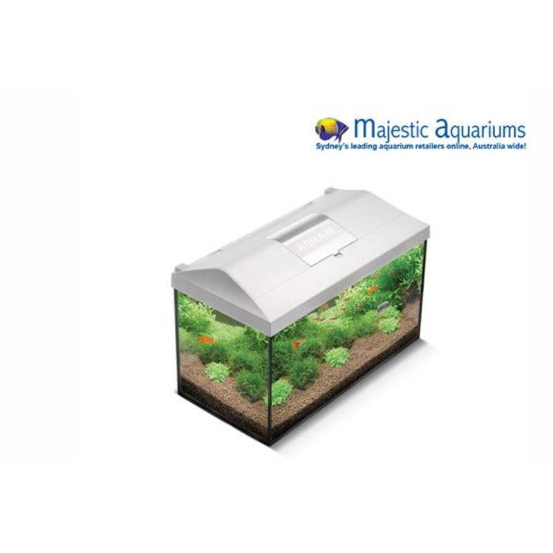 Aquael Leddy 60 Aquarium Set White