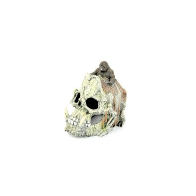 Bioscape  Skull