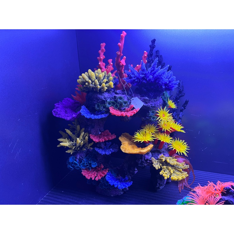decoration - large arch with red top coral
