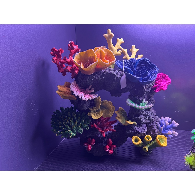 decoration - large arch with yellow and blue top coral