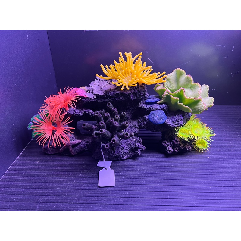 decoration - low arch with black front coral