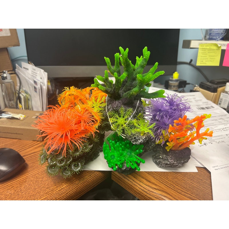 decoration - low coral with orange and green