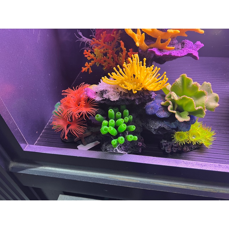 decoration - low corals with yellow