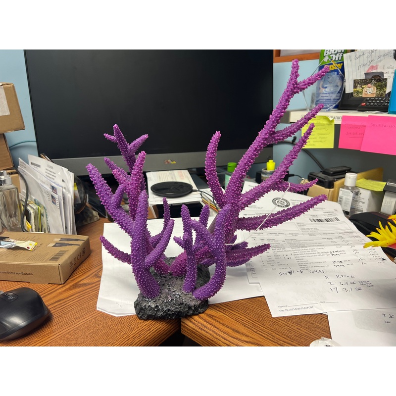 decoration - purple horn coral