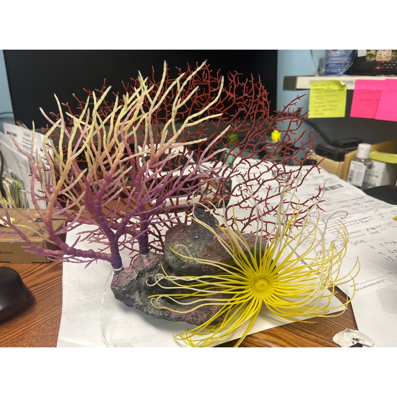 decoration - red & purple fan coral
