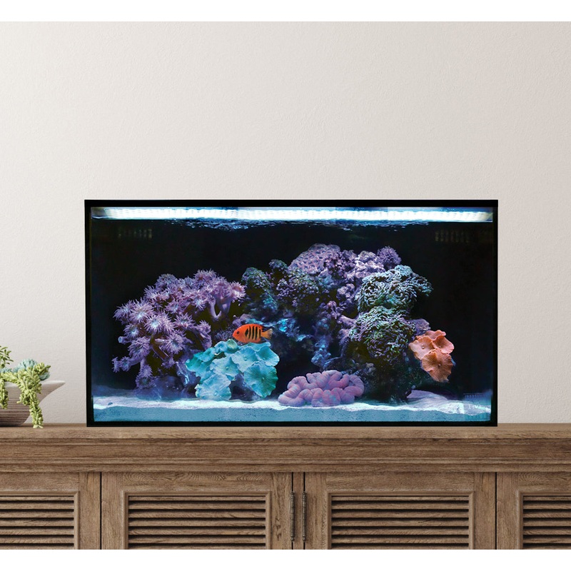 Fusion | 20 AIO Long Aquarium [Desktop Starter Kit]