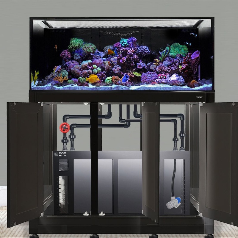 INT 170 Gallon Complete Reef System  Black