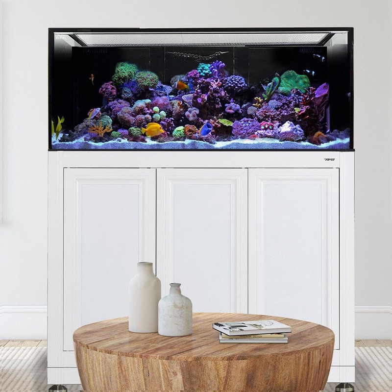 INT 170 Gallon Complete Reef System  White