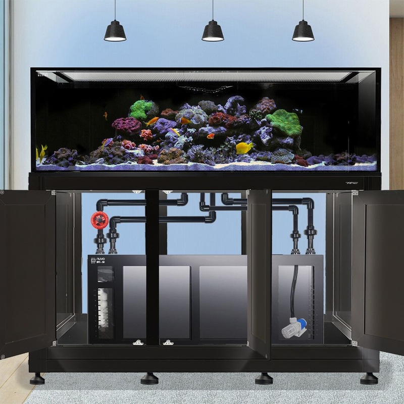 INT 200 Gallon Complete Reef System  Black