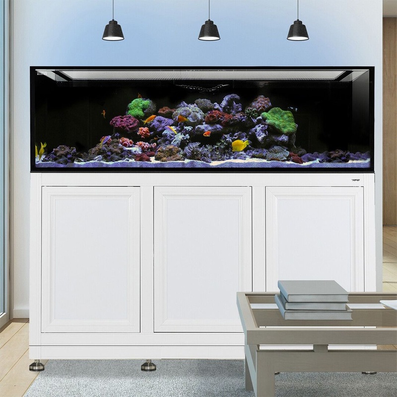 INT 200 Gallon Complete Reef System  White