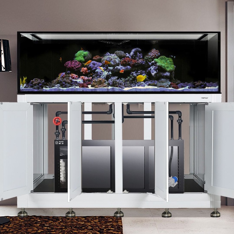 INT 240 Gallon Complete Reef System  White (Made to Order)