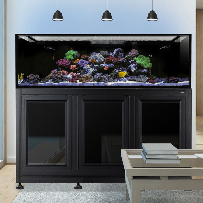 EXT 200 Aquarium w APS Stand - Black (Made to Order)