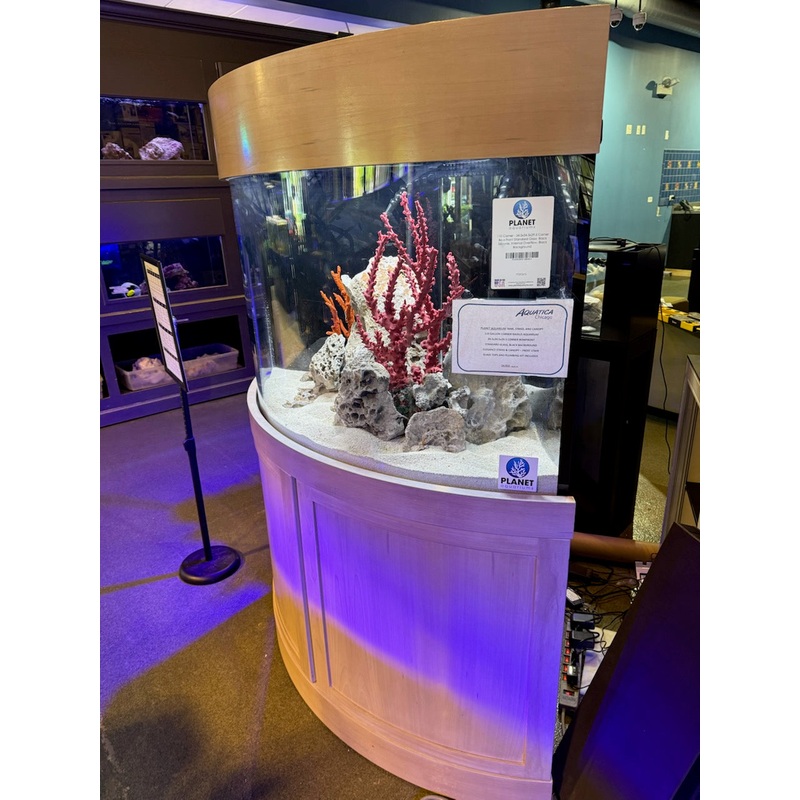 110 Gallon Corner Radius Aquarium Kit - STORE DISPLAY