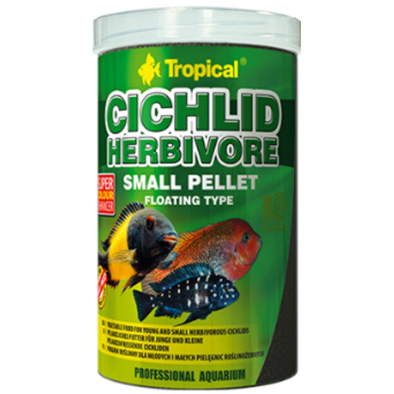 CICHLID HERBIVORE