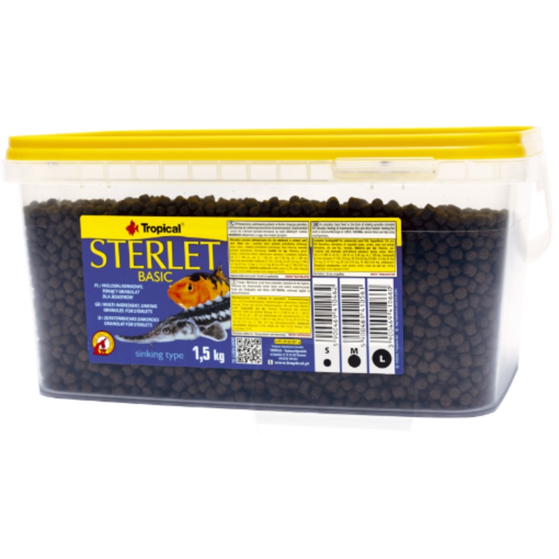 STERLET BASIC MEDIUM