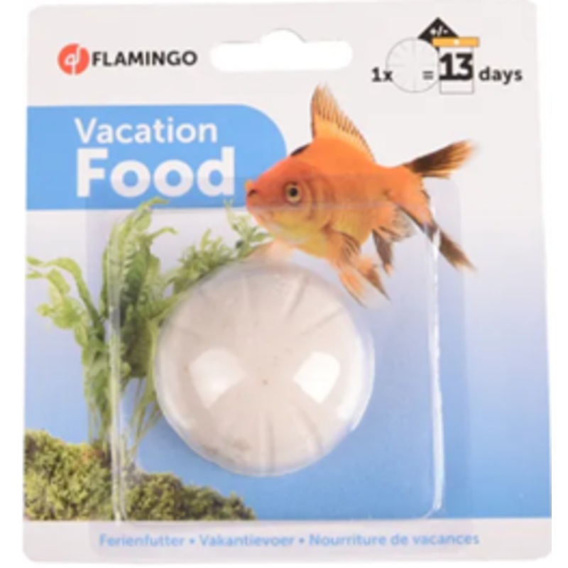 VACATION FOOD