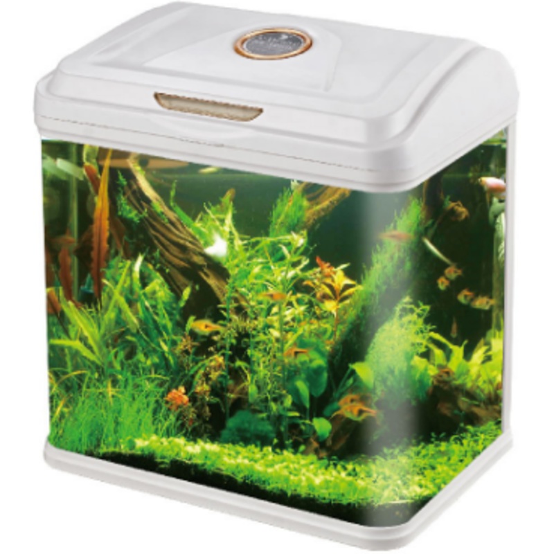AQUARIUM