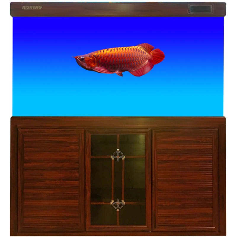 AQUARIUM AXE