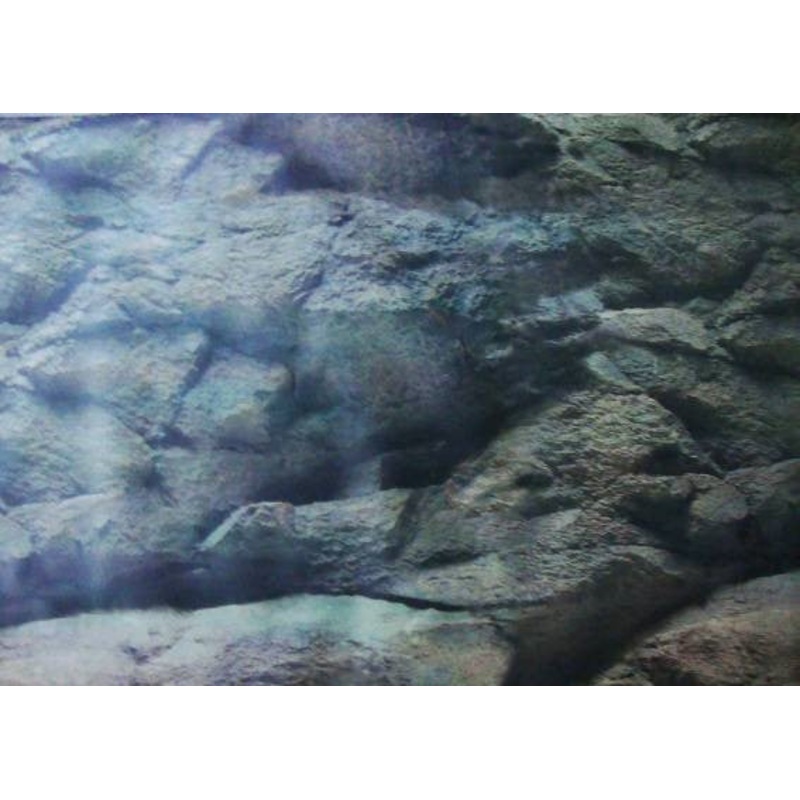 AQUARIUM  BACKGROUND