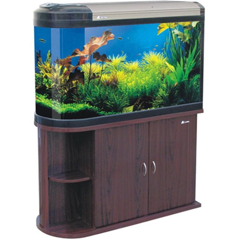 AQUARIUM & STAND BULLET
