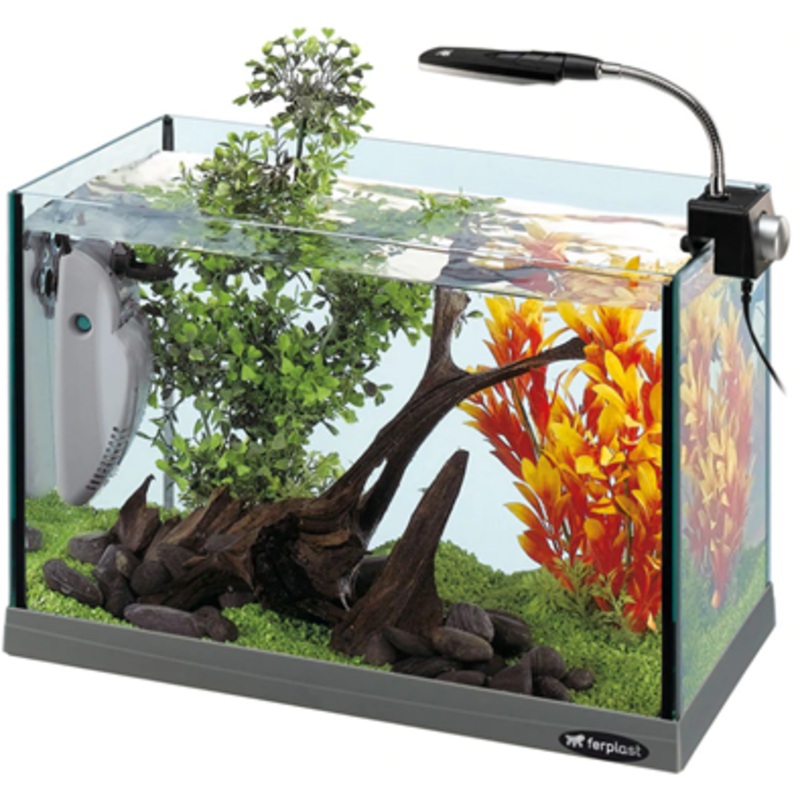 CAYMAN 40 OPEN  21L