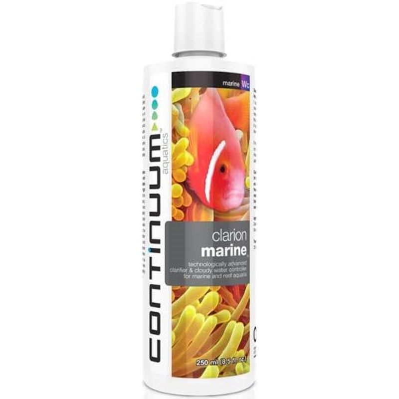 CLARION MARINE