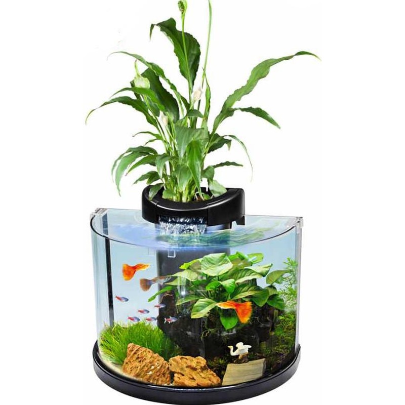 CLEAR MOON PREMIUM AQUARIUM