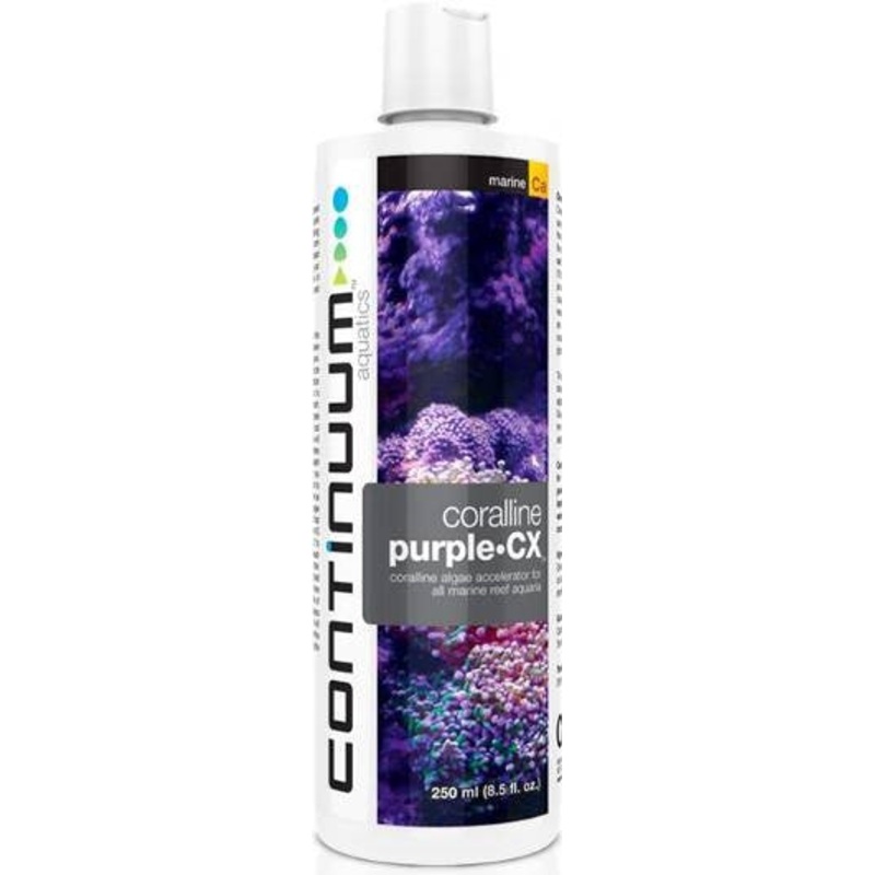 CORALLINE PURPLE  CX