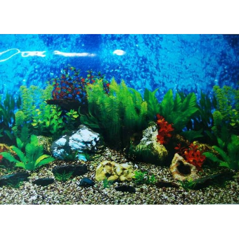 DOUBLE SIDED AQUARIUM  BACKGROUND