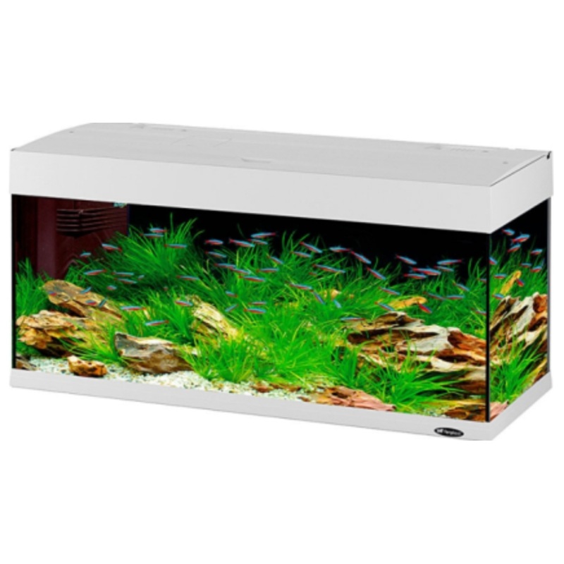 DUBAI 100 AQUARIUM BLACK LED