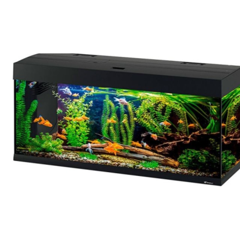DUBAI 120 LED